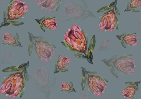 Zarte Protea-Blüte Fototapete auf blauem Hintergrund
