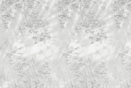 Geheimnisvolle graue Äste und Blattabdrücke Designer Fototapeten