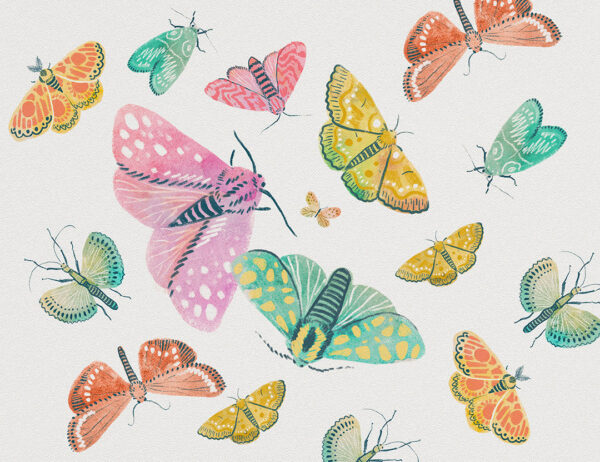 Fototapete Vintage helle bunte Schmetterlinge auf weißem Hintergrund