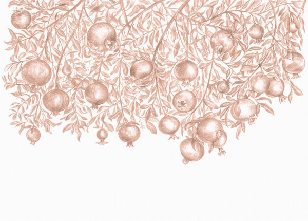Designer Fototapeten mit braunem Granatapfelmuster auf weißem Hintergrund