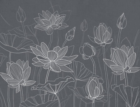 Minimalistische Wasserlotus-Fototapete auf grauem Hintergrund