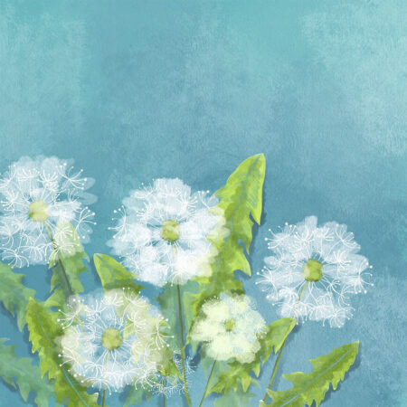 Fototapete mit großen pusteblume mit Farben bemalt auf blauem Hintergrund