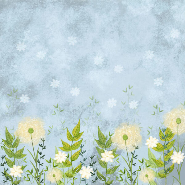Fototapete mit wachsendem Pusteblume und Gänseblümchen auf dekorativem Hintergrund in Blautönen