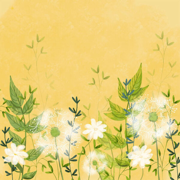 Fototapete mit wachsendem Pusteblume und Gänseblümchen auf dekorativem Hintergrund in Gelbtönen