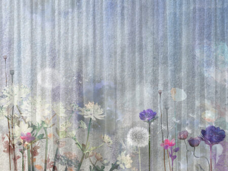Aquarell-Wildblumen und Löwenzahn Fototapeten auf gestreiftem Hintergrund