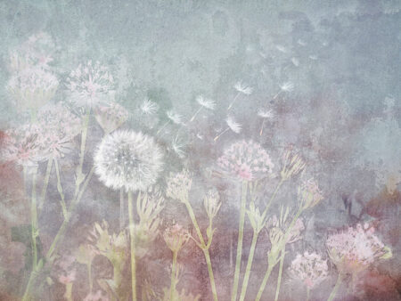 Designer Fototapete mit Pusteblume und Wildblumen auf Aquarellhintergrund