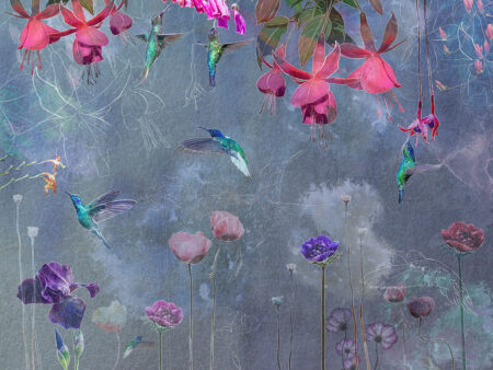 Design tapeten mit tropischen Blumen und Kolibris und ihren Konturbildern auf grauem Aquarellhintergrund
