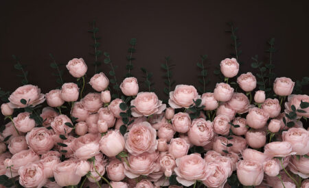 Zarte Rosenblüten 3D Fototapete auf dunklem Schokoladenhintergrund