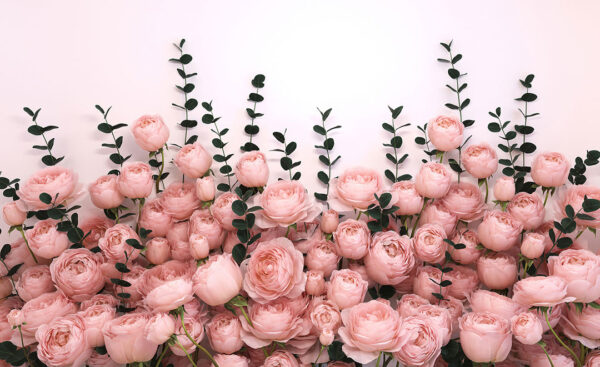 Fototapete 3d mit einem Strauß blassrosa Rosen auf hellem Hintergrund