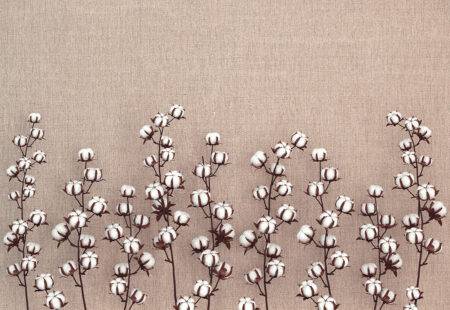 Tapete mit Blumen Baumwolle auf beigem strukturiertem Hintergrund