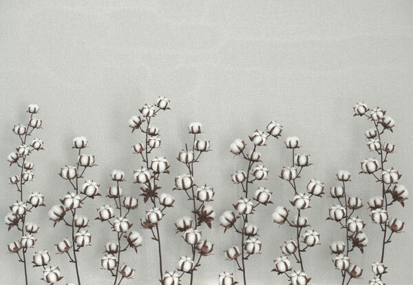 Tapete mit Blumen Baumwolle auf grauem Hintergrund mit Farbverlauf