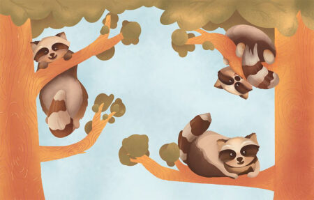 Kindertapete mit drei großen Waschbären Tiere an den Bäumen