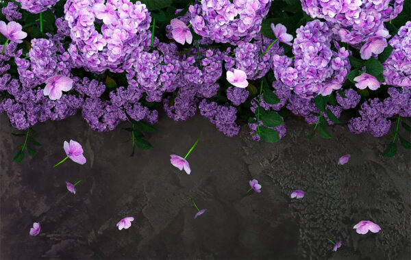 3D-Tapete mit lila Hortensien und bröckelnden Blütenblättern auf einem strukturierten Hintergrund aus geprägtem Zierputz in Schwarztönen