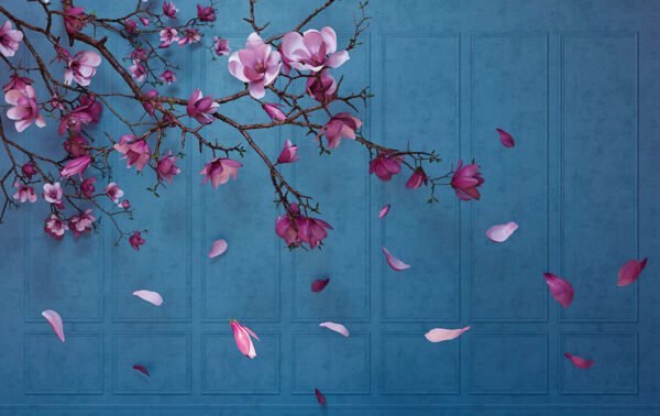 Fototapete mit kirschblütenzweig und bröckelnden rosa Blütenblättern auf einem dekorativen strukturierten Hintergrund in dunkelblauen Tönen