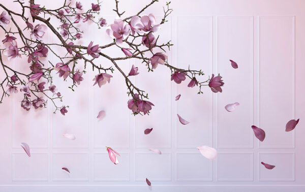 Fototapete mit kirschblütenzweig und bröckelnden rosa Blütenblättern auf einem dekorativen strukturierten Hintergrund in hellen Lilatönen