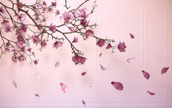 Fototapete mit kirschblütenzweig und bröckelnden rosa Blütenblättern auf einem dekorativen strukturierten Hintergrund in hellrosa Tönen