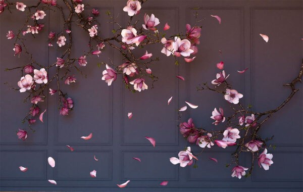 Fototapete 3D mit kirschblütenzweig und bröckelnden rosa Blütenblättern auf einem dekorativen strukturierten Hintergrund in dunklen Farbtönen