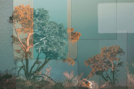Fototapete mit Bäumen und Wildblumen auf dunkeltürkisem Hintergrund mit strukturierter rechteckiger Geometrie