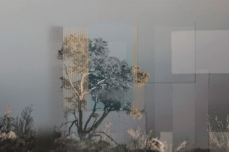 Fototapete mit Baum und Wildblumen auf grauem Hintergrund mit strukturierter rechteckiger Geometrie