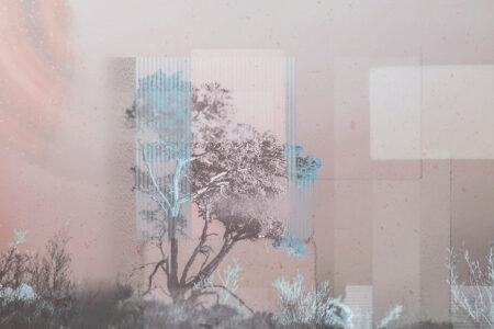 Collage aus Bäumen und Geometrie Fototapete in hellen Tönen