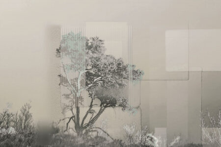 Collage aus Bäumen und Geometrie Fototapete in Beigetönen