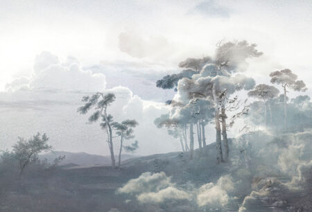 Fototapete mit Regenschirm Kiefern auf einem strukturierten Hintergrund einer Waldlandschaft mit Wolken