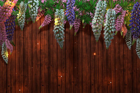Fototapete mit blühenden Lupinen auf strukturiertem Holz Hintergrund mit Glühwürmchen