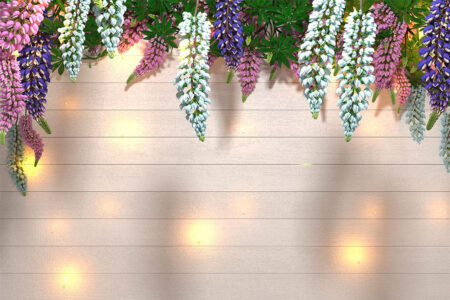 Fototapete mit blühenden Lupinen auf der Textur von weißem Holz mit Glühwürmchen