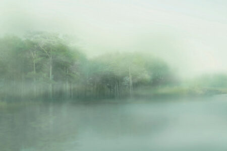 Fototapete mit einem grünen Wald in dichtem Nebel und einem Fluss