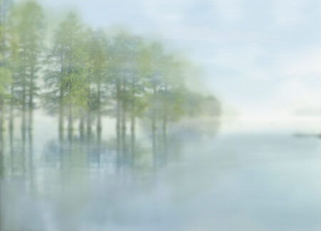Tapete mit Bäumen in der Nähe des Flusses im Nebel auf unscharfem Hintergrund