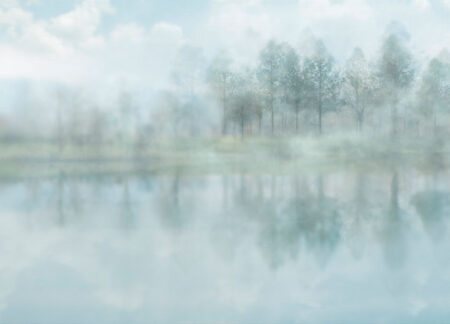 Fototapete mit einer nebligen Landschaft aus Bäumen und deren Spiegelung im Fluss