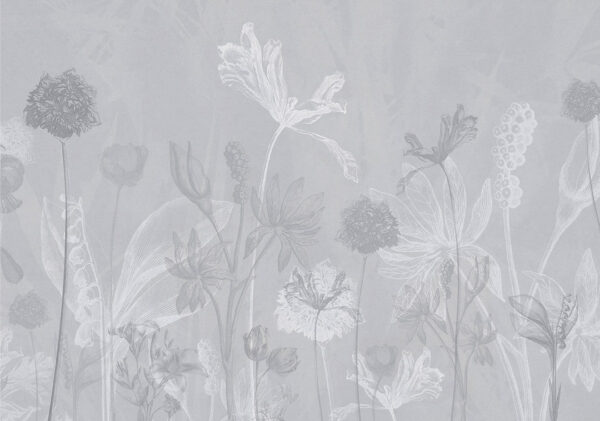 Designer Fototapete mit den Umrissen von Gartenblumen auf dekorativem Hintergrund in Grautönen