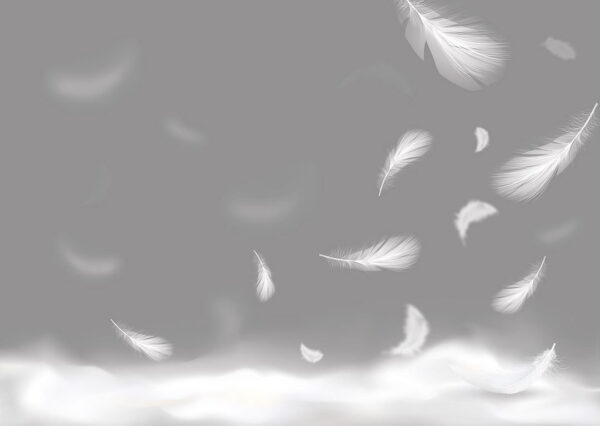 Fototapete mit weißen Federn und Nebel auf grauem Hintergrund