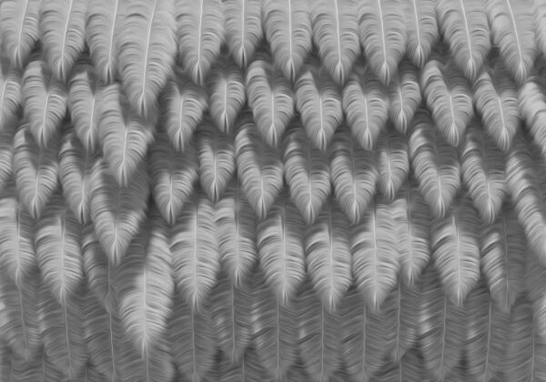 Exklusive 3D-Fototapeten mit der Textur voluminöser großer Federn in Grautönen