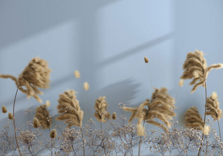 3D Tapete mit großem Schilfgras und getrockneten Blumen auf blauem Hintergrund
