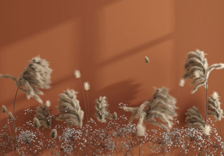 Pampasgras 3D Fototapete auf orangem Hintergrund