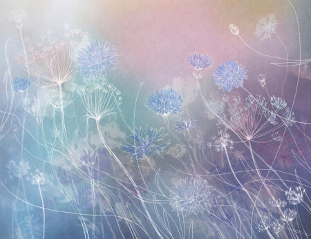 Fototapete mit den Umrissen von Wildblumen auf einem Hintergrund mit Farbverlauf in Rosa- und Blautönen