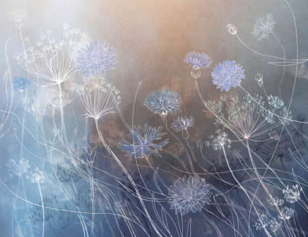 Aquarell-Wildblumen-Fototapete auf dunklem Hintergrund