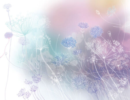 Aquarell-Wildblumen-Fototapeten auf hellem Hintergrund