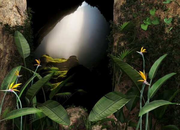 Designer 3D Tapete tropische Blumen in einer Höhle