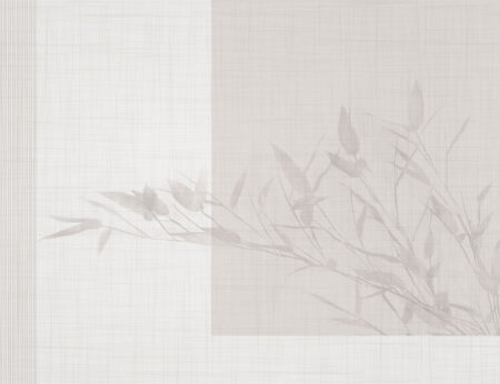 Fototapete mit einem Pflanzenschatten und einem beigefarbenen Rechteck auf einem grauen strukturierten Hintergrund