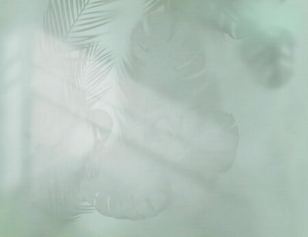 Tapete mit dem Schatten tropischer Blätter auf einem helltürkisen strukturierten Hintergrund