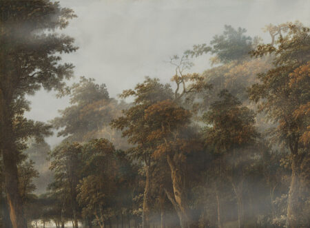 Fototapete Herbstwald im Nebel bei bewölktem Wetter