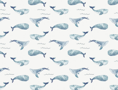 Fototapete mit gemalten Wale in Blautönen und Wellen Muster auf weißem Hintergrund