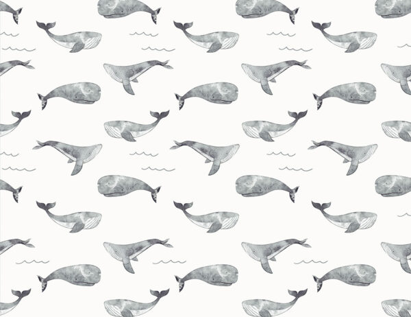 Fototapete mit gemalten Wale in Grautönen und Wellen Muster auf weißem Hintergrund