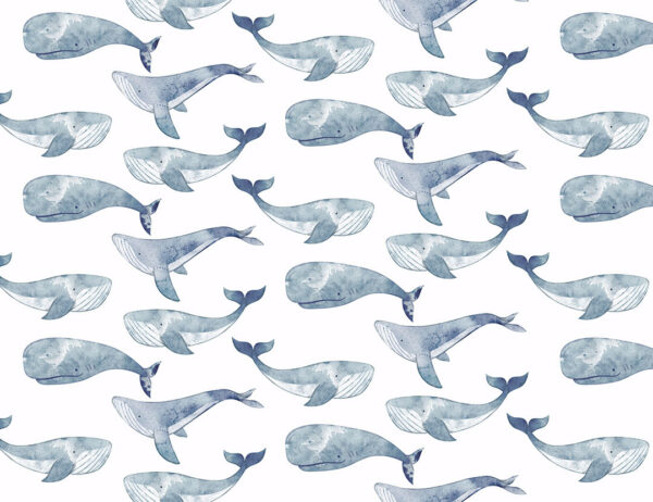 Fototapete mit gemalten Wale in Blautönen Muster auf weißem Hintergrund