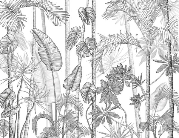 Fototapete mit gravierten tropischen Pflanzen und Palmen auf weißem Hintergrund