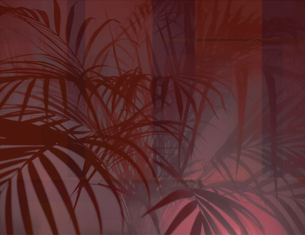 Fototapete Tropen mit dem Schatten von Palmenblätter auf geometrischem Hintergrund in dunklen Rottönen