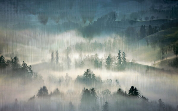 Designer-Fototapeten Wald im Nebel vor dem Hintergrund einer Landschaft in Blau- und Grüntönen