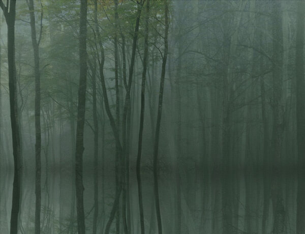 Fototapete Bäume mit ihrem Spiegelbild im Nebel in dunklen Grüntönen